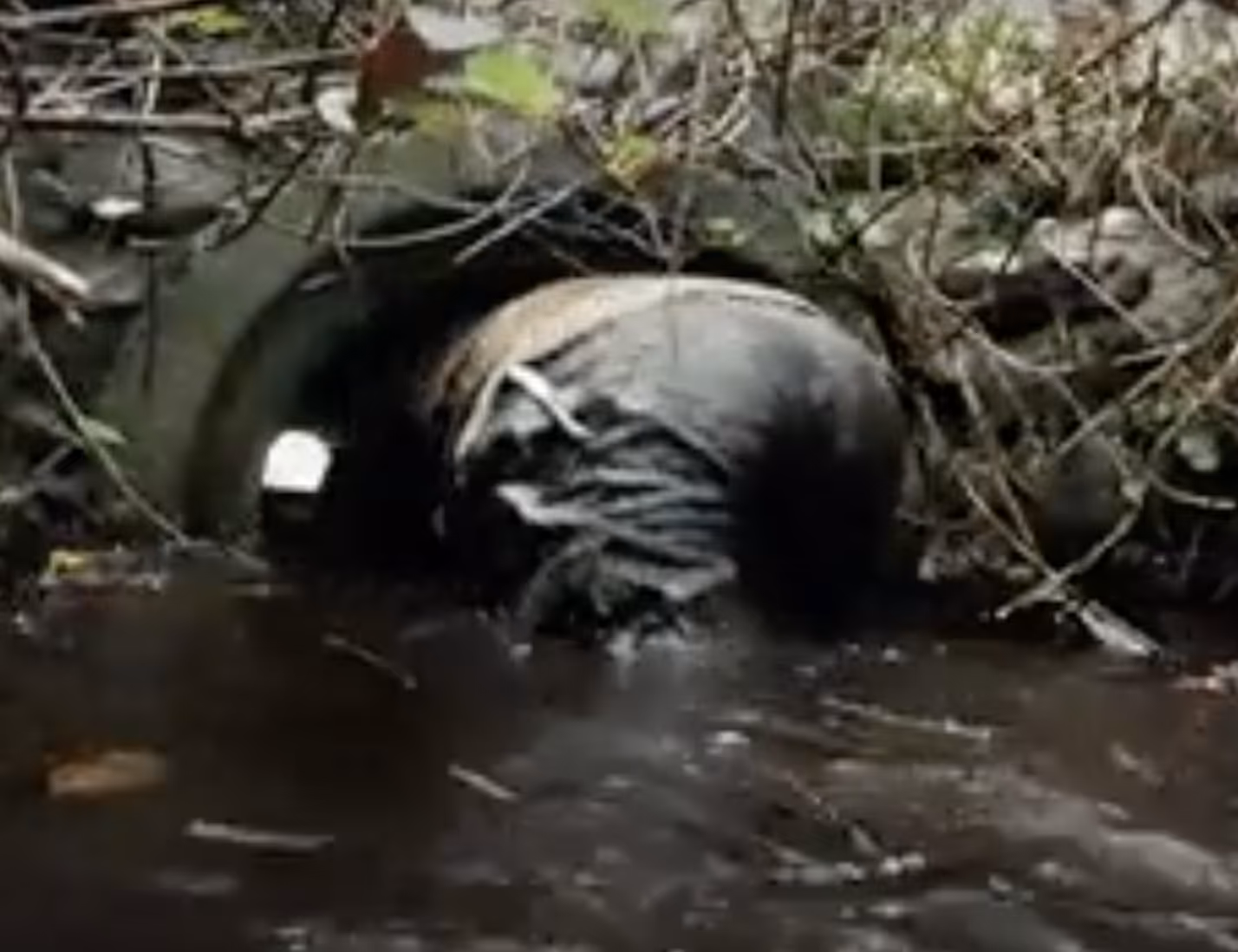 Pipe in action deploying a unit